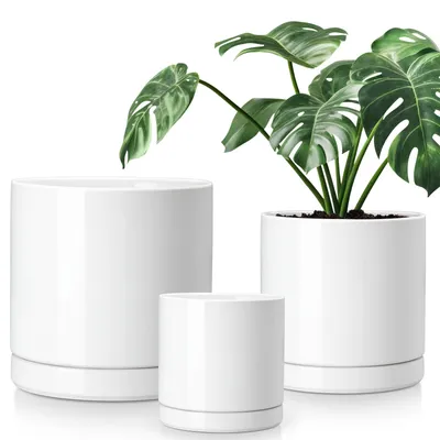 Image de vancasso Pot de fleurs en faïence, 3 pots avec soucoupe pour plantes succulentes, plantes vertes, ronds, blancs