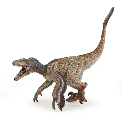 Image de Figurine de jeu Papo Velociraptor avec plumes