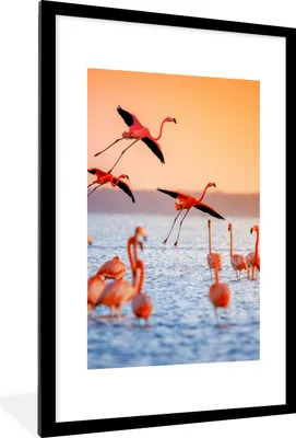 Produktbild von MuchoWow® Gerahmtes Poster Vogel - Flamingo - Wasser - Sonnenuntergang - Rosa 60x90 cm - Poster mit Schwarzem Bilderrahmen Wandposter Rahmen Foto Bilder - Dekoration - Wandposter Wohnzimmer - Hochwertig
