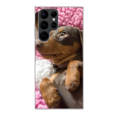 Produktbild von MuchoWow® Handyhülle Schutzhülle Hülle für Samsung Galaxy S22 Ultra Ein Dackelwelpe auf einer rosa Decke Silikon Softcase Handy Hülle - Abbildung