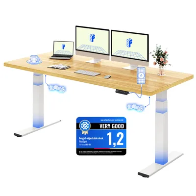 Produktbild von FLEXISPOT ValtreX E200 Höhenverstellbarer Schreibtisch 180x80cm 200KG TRAGKRAFT, 25MM EINTEILIGE TISCHPLATTE, 2 Motoren, USB-Anschluss, Ahorn
