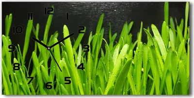 Produktbild von Wanduhr aus Glas – 60x30 cm - Glasbild - Glasuhr - Gehärtetes Glas - schwarze-zeiger - Gras