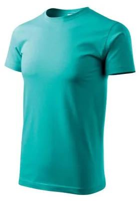 Image de Malfini - T-shirt basique pour hommes, modèle PP9299 (XXL), couleur turquoise