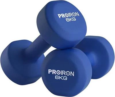 Image de PROIRON Ensemble d'haltères courts en néoprène 2x6KG pour femmes Gymnastique Pilates Yoga Enfants