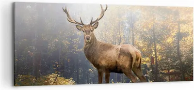 Produktbild von Bild auf Leinwand - Leinwandbild - Einteilig - Licht Hirsch Wald - 120x50cm - Wand Bild - Wanddeko - Wandbilder - Leinwanddruck - Bilder - Wanddekoration - Leinwand bilder - Wandbild - AB120x50-4452