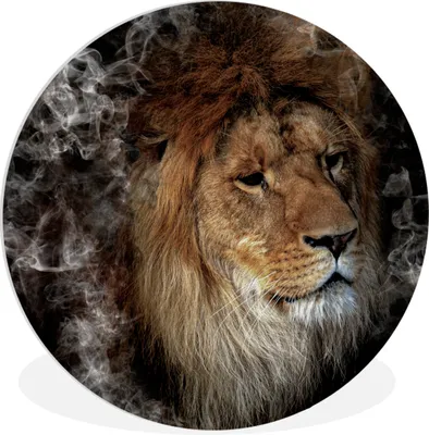 Produktbild von MuchoWow® Rundes Wandbild - Runde Bilder Löwe - Rauch - Tiere Ø 90 cm Kreis Wanddekoration Kunststoff - Wandkreis - Wandschmuck - Wand-Kreis - Wohnzimmer - Bild - Runde - Wanddeko - Dibond - Kunstdrucke