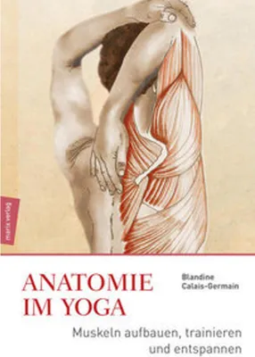 Produktbild von Anatomie im Yoga