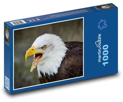 Produktbild von Puzzle 1000 Majestätischer Weißkopfseeadler - martinpuzzle