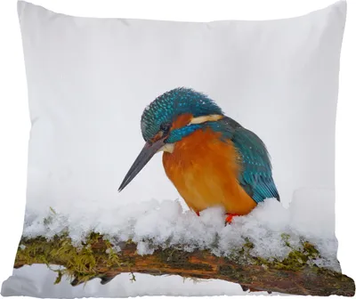 Produktbild von MuchoWow® Zierkissen Sofakissen Wohnzimmer Dekokissen 40x40 cm Eisvogel - Schnee - Winter - Foto Kissen - Schlafzimmer Dekoration
