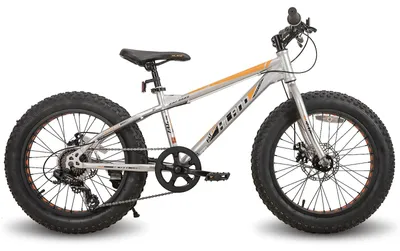 Image de Vélo pour enfants - 20 pouces - VTT avec pneus larges - À partir de 5 ans - 7 vitesses - Freins à disque mécaniques