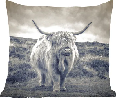 Produktbild von MuchoWow® Zierkissen Sofakissen Wohnzimmer Dekokissen 40x40 cm Schottisches Hochlandrind - Tiere - Wolken - Kuh - Natur - Foto Kissen - Schlafzimmer Dekoration