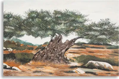 Immagine prodotto di Murale Dipinto 120 x 80 x 3,8 cm tela di pino Multicolore