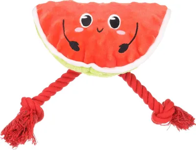 Produktbild von Flamingo Hundespielzeug Bubto Wassermelone mit Seil rot