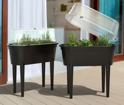 Produktbild von 2x Hochbeet + Deckel 77cm Balkon Kasten Beet Kräuter Pflanzkasten Gewächshaus