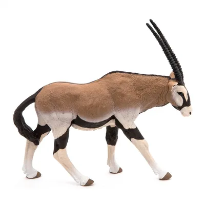 Obrázek produktu pro Papo Oryx Antelope, 3 rok/roky, Wild animal kingdom, Hnědá, Bílá, PVC