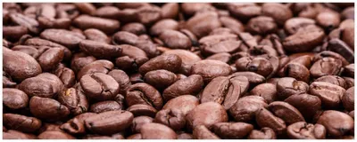 Produktbild von Wallario Küchenrückwand selbstklebend, Größe: 115 x 50 cm, Motiv: Frisch geröstete Kaffeebohnen | Spritzschutz | abwischbar | pflegeleicht | in