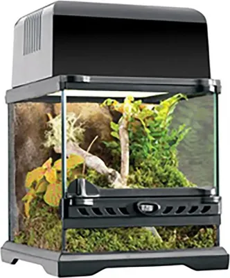 Produktbild von Exo Terra Natürliches Terrarium Nano Breit Für Reptilien Braun 22 x 22 x 22 cm Braun 22 x 22 x 22 cm