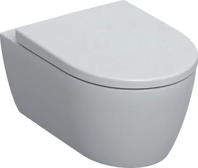 Produktbild von Geberit Wand-Tiefspül-WC iCon Rimfree geschl. Form mit WC-Sitz weiß KT 501664008