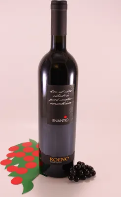 Obrázek produktu pro Enantio Terradeiforti - 2015 - Vinařství Roeno