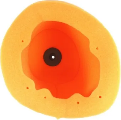 Image de Filtre à air TWIN AIR - 156016