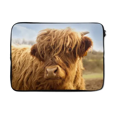 Produktbild von MuchoWow® Laptop Hülle 14 ZollTiere - Schottischer Highlander - Braun Laptoptasche - Laptoptasche - Stoßsicher - Schutzhaube