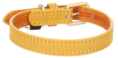 Image de Collier pour chien Virginia en cuir