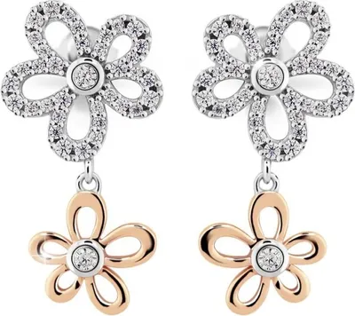 Produktbild von Earrings J219CZ-R