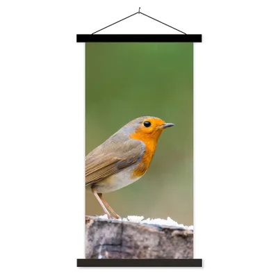 Produktbild von MuchoWow® Textilposter Tiere - Vogel - Rotkehlchen 90x180 cm mit schwarzem Rahmen - Dekoration Wohnzimmer