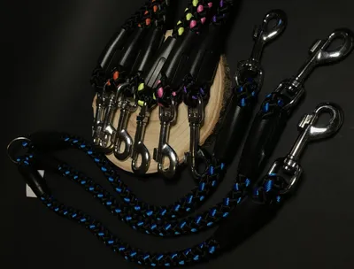 Immagine prodotto di Guinzaglio per cani Palkar 50 cm x 14 mm nero-blu