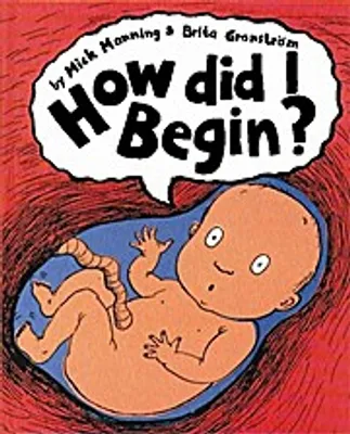 Obrázek produktu pro How Did I Begin?