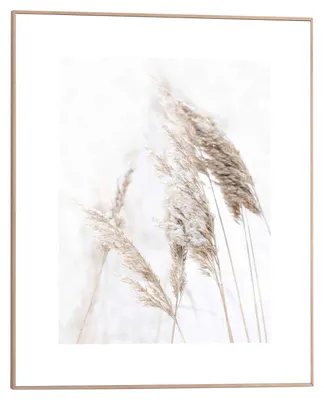 Produktbild von Wandbild - Braun - Weiß - 40 x 50 cm - mit Pampasgras