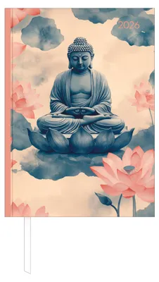 Produktbild von Buchkalender Style Zen 2026 - Büro-Kalender A5 - Cheftimer - 1 Tag 1 Seite - 352 Seiten - Achtsamkeit - Alpha Edition