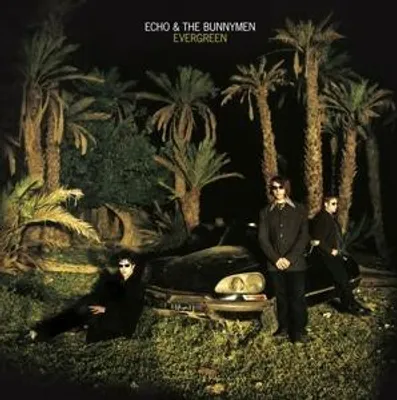 Produktbild von Evergreen (Standard Edition)
