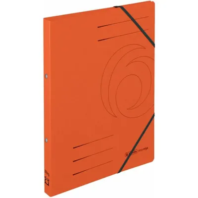 Obrázok produktu pre Herlitz Ordner & Register, Okrúhly krúžok, Uskladnenie, Lepenka, Oranžová, 2,5 cm, 600 kusov