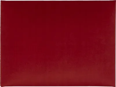 Produktbild von Komvortowy | Polsterpaneel | Wandkissen Velours Rot 30x40 cm | Wandpolster | Bettkopfteil | Wandpaneel