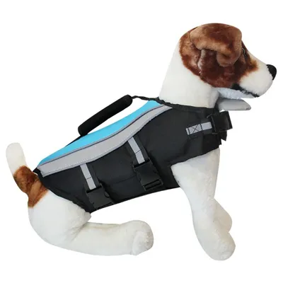 Image de Gilet de sauvetage Alcott 35cm en bleu