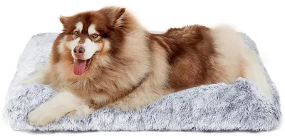 Immagine prodotto di Cuccia per cani, morbida, lavabile, taglia XXL, 120x90 cm, grigia