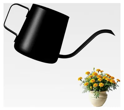 Produktbild von 350 ML Schwarze Gießkanne für kleine Zimmerpflanzen aus Edelstahl mit langem Auslauf