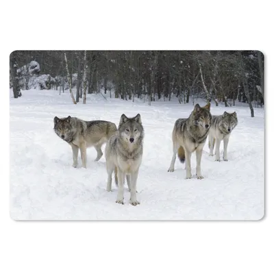 Produktbild von MuchoWow® Schreibtischunterlage Wolf - Schnee - Kanada 60x40 cm - XXL Mauspad - Großes Mauspad