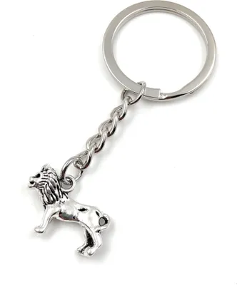 Image de Onwomania Lion debout Homme Porte-clés métal porte-bonheur en boîte cadeau alu, idéal pour offrir en cadeau