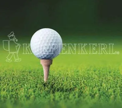 Produktbild von Kiepenkerl RSM 4.3 Golfrasen Abschlag 10 kg