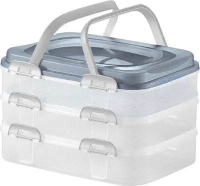 Produktbild von Tortenbehälter Dolce mit Deckel 40 x 30 x 24,3 cm Farbenmix DOMOTTI