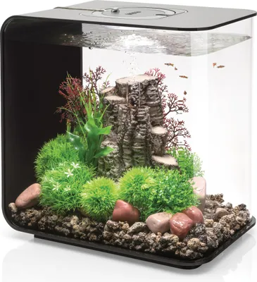 Produktbild von Dekoratives 30-liter-aquarium mit schwarzem rahmen Oase FLOW30MCR BLACK
