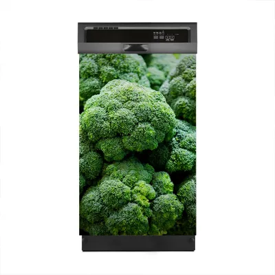 Produktbild von Aufkleber sticker 45x70 cm Dekorative folie Spülmaschine - Frischer Brokkoli Gemüse