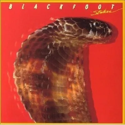 Produktbild von Blackfoot-Strikes
