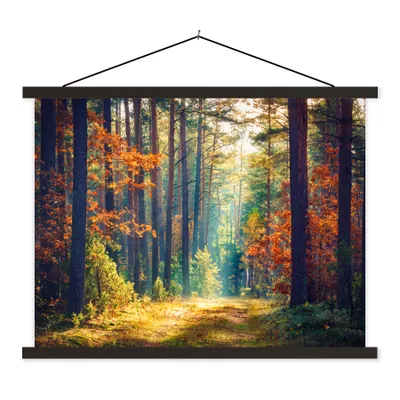 Produktbild von MuchoWow® Textilposter Wald - Sonne - Natur - Herbst 60x45 cm mit schwarzem Rahmen - Poster Schlafzimmer