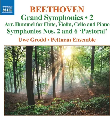 Zdjęcie produktu dla Grodd, U: Grand Symphonies, Vol.2