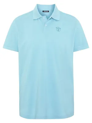 Produktbild von CHIEMSEE MEN POLO SHIRT REGULAR FIT Herren Poloshirt