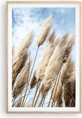 Produktbild von Gerahmtes Poster - Rahmen in heller Eiche - Stock Himmel Boho - 61x91,5 cm - Wand Bild - Wanddeko - Wandbilder - Kunstposter - Wandposter - Bilderrahmen - Bilder - Kunstdruck - P2NPA61x91-4426
