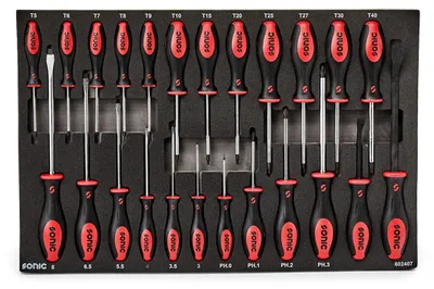 Produktbild von Einsatz mit Werkzeugen für Trolley SONIC 602407